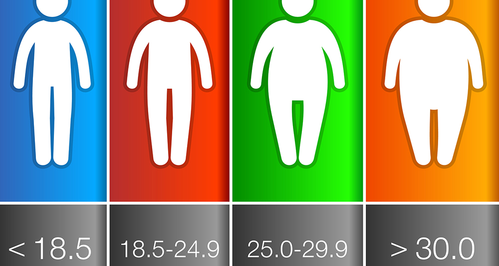 Body Mass Index graphic Icons