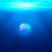 A jellyfish swimming in blue water with light streaming in