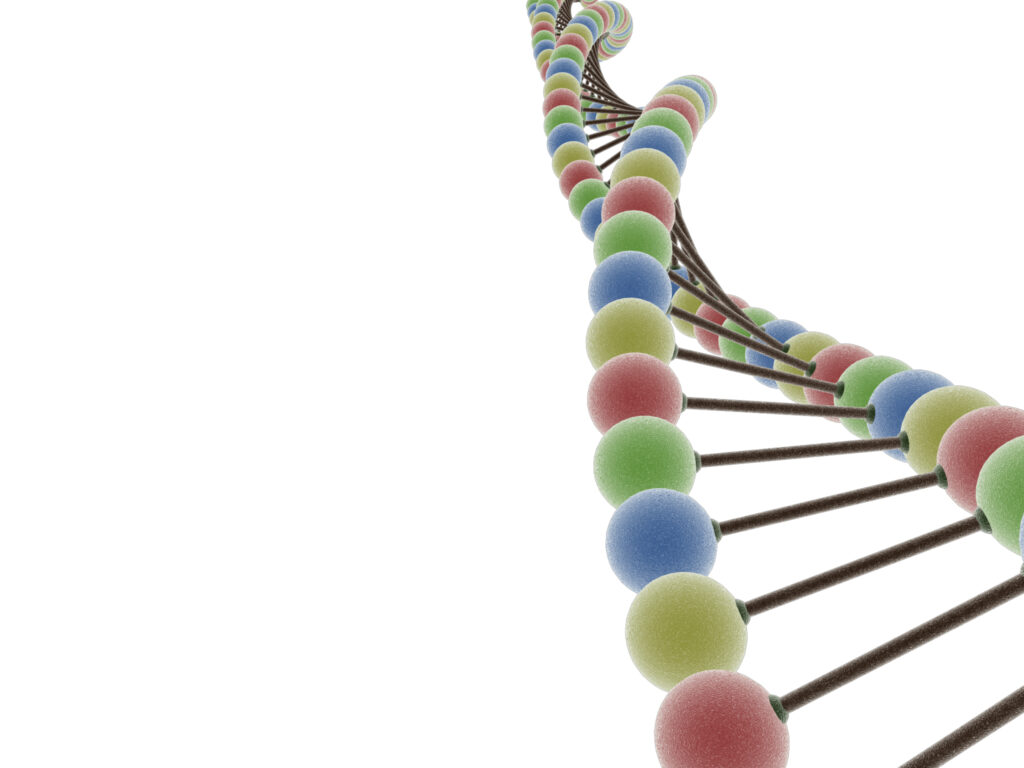 3D rendering of DNA