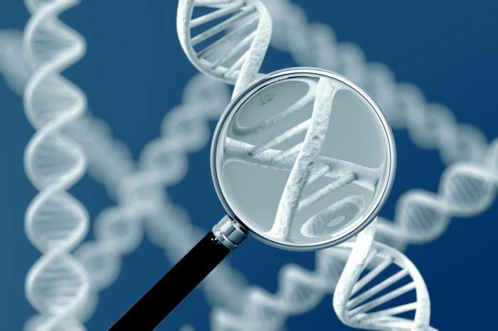 A magnifying glass in front of 3D rendered strands of DNA